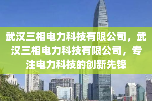 武汉三相电力科技有限公司，武汉三相电力科技有限公司，专注电力科技的创新先锋