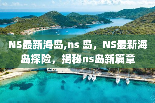 NS最新海岛,ns 岛，NS最新海岛探险，揭秘ns岛新篇章